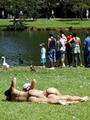Foto de Parque do Ibirapuera por Luiz Fernando B. Malav... em 16/08/2010