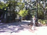 Foto de Parque do Ibirapuera por Rafael Siqueira em 26/08/2010