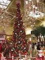 Foto de Shopping Center Norte por Rafael em 28/04/2010