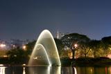 Foto de Parque do Ibirapuera por Alexandre em 06/05/2010