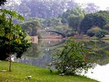 Foto de Parque do Ibirapuera por Alexandre em 06/05/2010