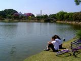 Foto de Parque do Ibirapuera por Patrícia Panza em 25/06/2010
