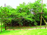 Foto de Paradise Golf Lake & Resort por Augis Frazon em 02/05/2010