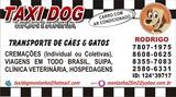 Foto de Aeroporto Internacional do Rio de Janeiro/ Galeão por TAXI DOG MONTANHA TRAN... em 29/01/2012