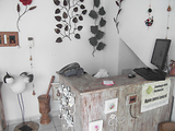 Foto de Atelier Maria Sem Vergonha Arte Em Cabaça - São Paulo por Apontador+ em 08/06/2011