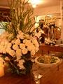 Foto de Buffet Espaco Cabana por Alexandre em 29/11/2011