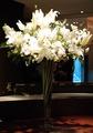 Foto de Buffet Espaco Cabana por Alexandre em 29/11/2011