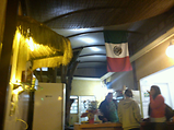 Foto de Chilli e Taco por Carolina Paz em 28/06/2011