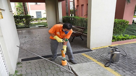 Foto Desentupidora Júpiter