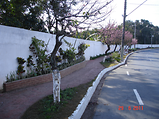 Foto de Fermax - Materias P/ Construção por KMAX em 19/08/2011