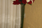 Foto de Haro´s Buffet por Alexandre em 28/10/2011