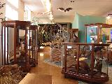 Foto de Museu de Zoologia por Paula Donegan em 13/04/2011