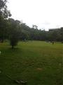 Foto de Parque do Ibirapuera por Suely Andrade em 08/01/2012