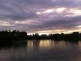 Foto de Parque do Ibirapuera por Priscila Alencar em 14/01/2012