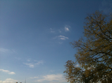 Foto de Parque do Ibirapuera por christo; em 05/09/2011