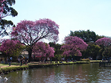 Foto de Parque do Ibirapuera por Paula Donegan em 22/09/2011