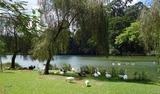 Foto de Parque do Ibirapuera por Jaymeson Silva em 13/12/2011